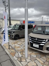 ハイブリッド体感フェアやってます！